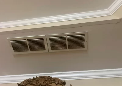 Dependable House Cleaner