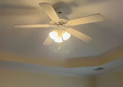 Professional House Cleaner