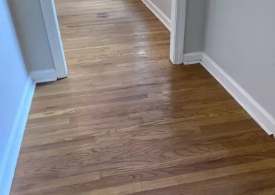 Reliable House Cleaner
