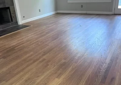 Top House Cleaning